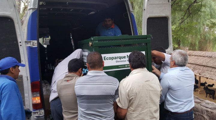 Foto:&nbsp;Humberto Mingorance‏ vía Twitter (@MingoranceH)