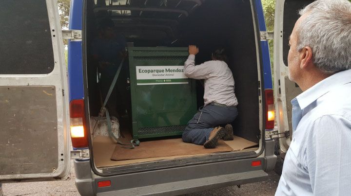 Foto:&nbsp;Humberto Mingorance‏ vía Twitter (@MingoranceH)