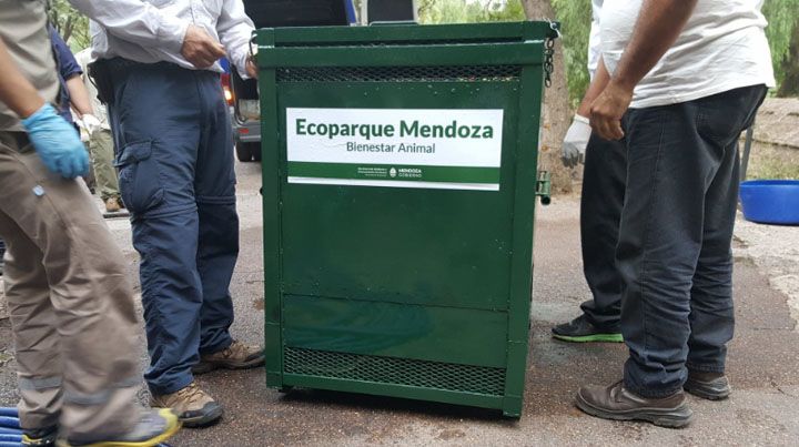 Foto:&nbsp;Humberto Mingorance‏ vía Twitter (@MingoranceH)