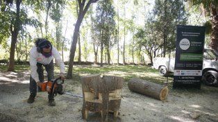 Arte en vivo. El escultor Federico Arcidiácono con el apoyo de una motosierra Stihl trabaja un tronco recuperado.