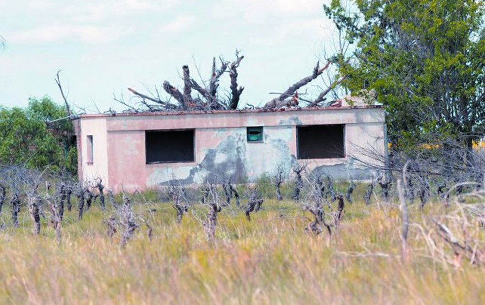 Terrenos sin producir. El panorama que se ha registrado en las fincas del Este también se repite en algunas zonas del Sur de Mendoza. Foto: Horacio Rodríguez / Diario UNO.&nbsp;