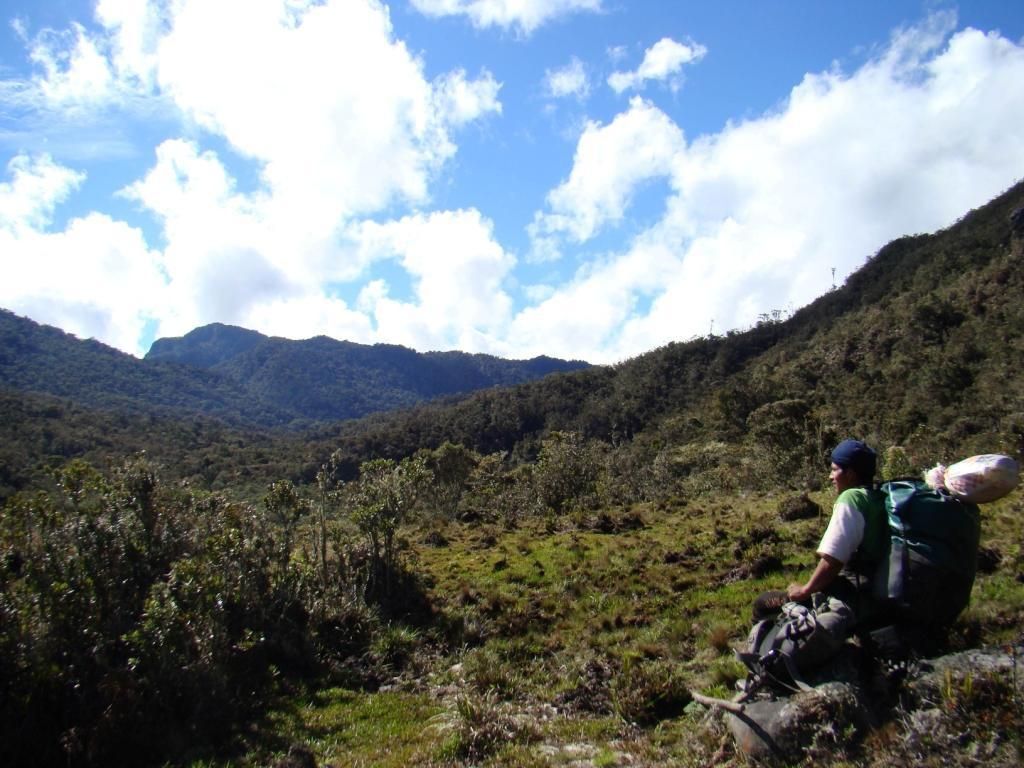 Riesgo de vida. Los responsables de proteger la fauna salvaje en esta parte del mundo son silenciados.