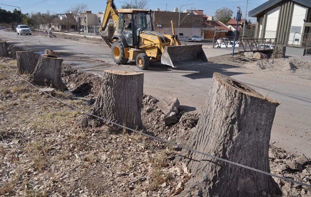 Centenarios. La ampliación de la concurrida calle dejó consecuencias para el ambiente. Foto: Luis Amieva / Diario UNO. Centenarios. La ampliación de la concurrida calle dejó consecuencias para el ambiente. Foto: Luis Amieva / Diario UNO.