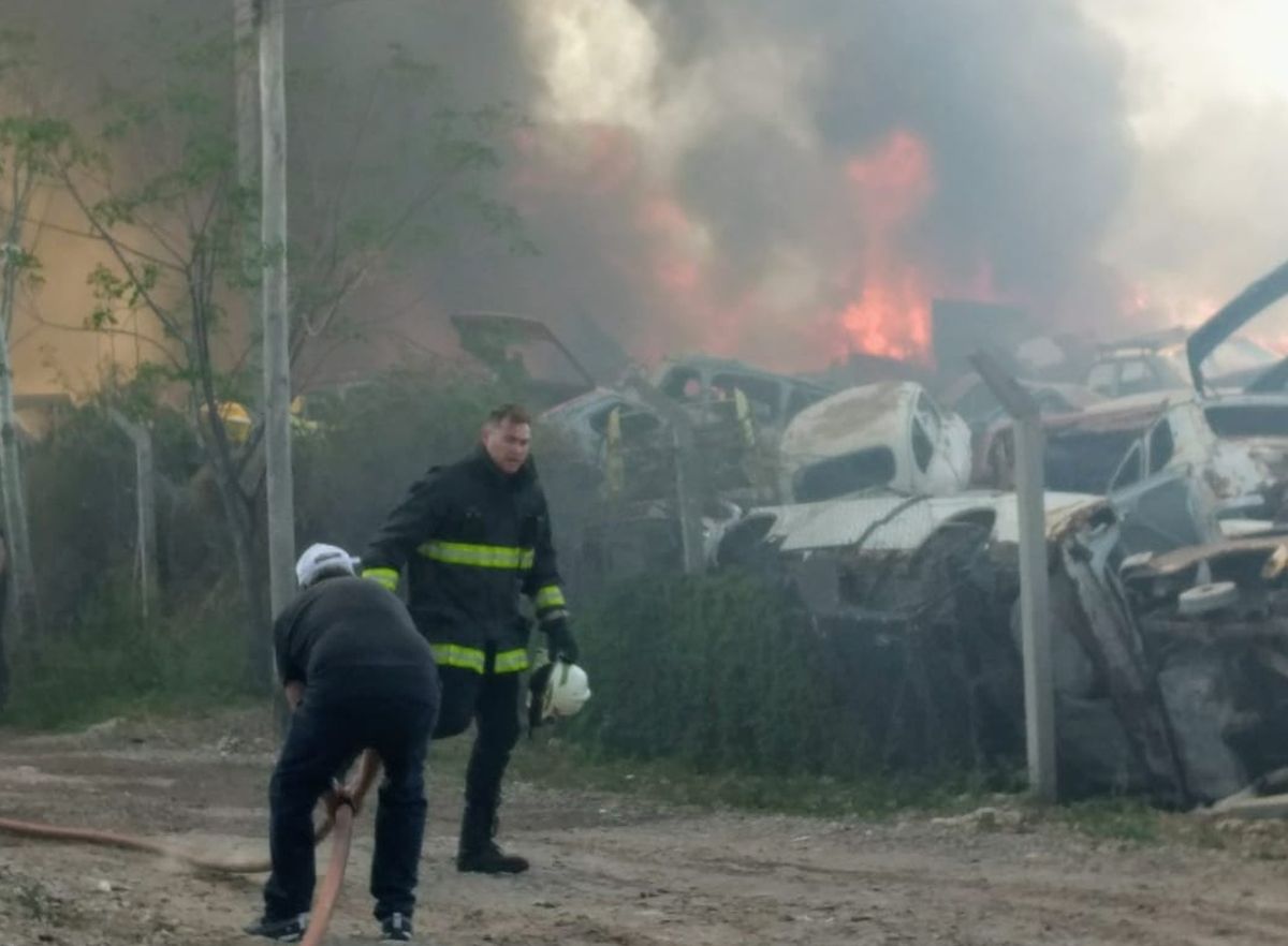 Foto: Gentileza Bomberos.&nbsp;
