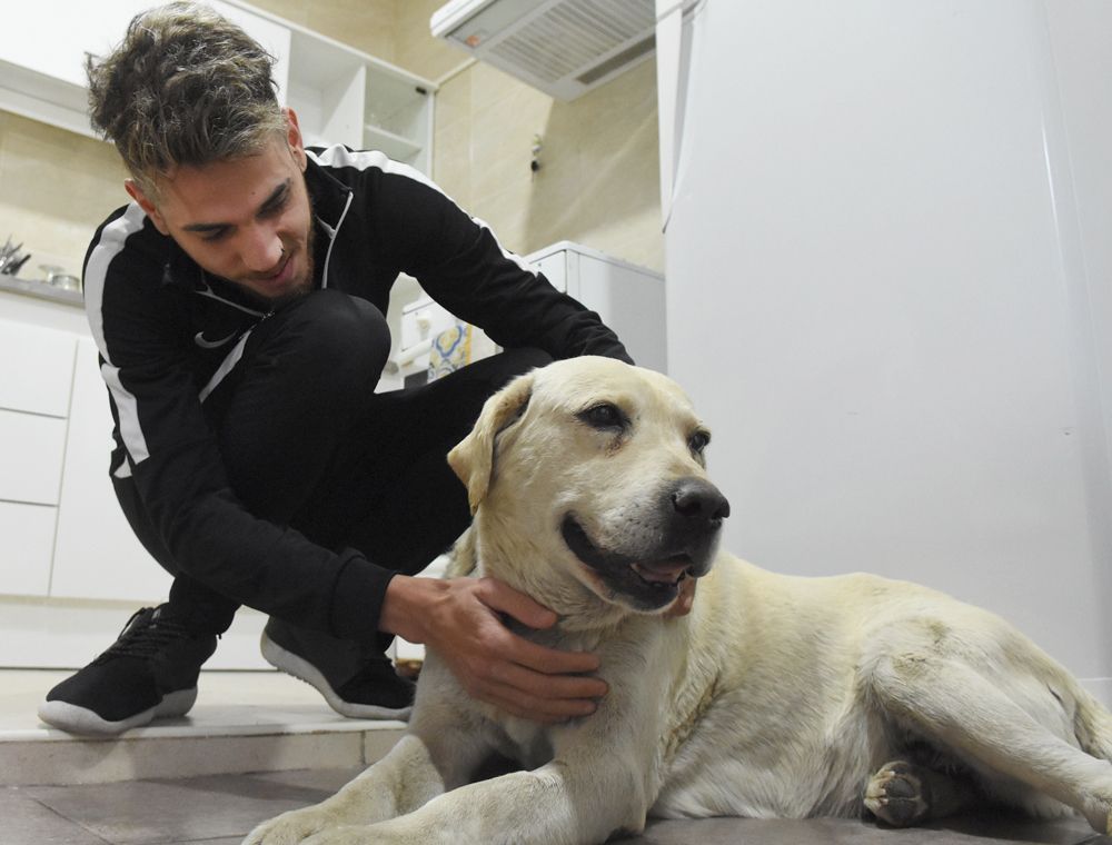 Puro amor. Tomi es acariciado por Andrés Fernández. La mascota se perdió en 2015 y lo tuvieron encerrado en caniles y lo maltrataron. Foto: Horacio Altamirano / Diario UNO.&nbsp;