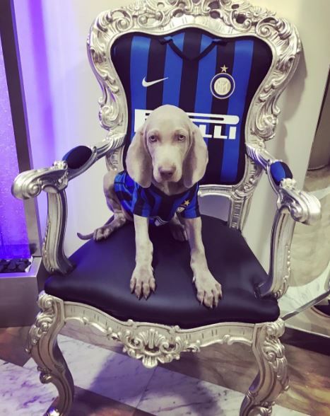 Foto Instagram Coco Icardi.
