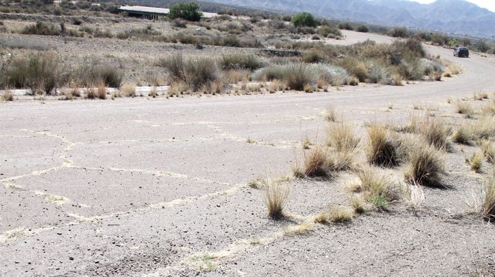 Invadido. Las malezas han crecido en las grietas que se formaron en el asfalto.