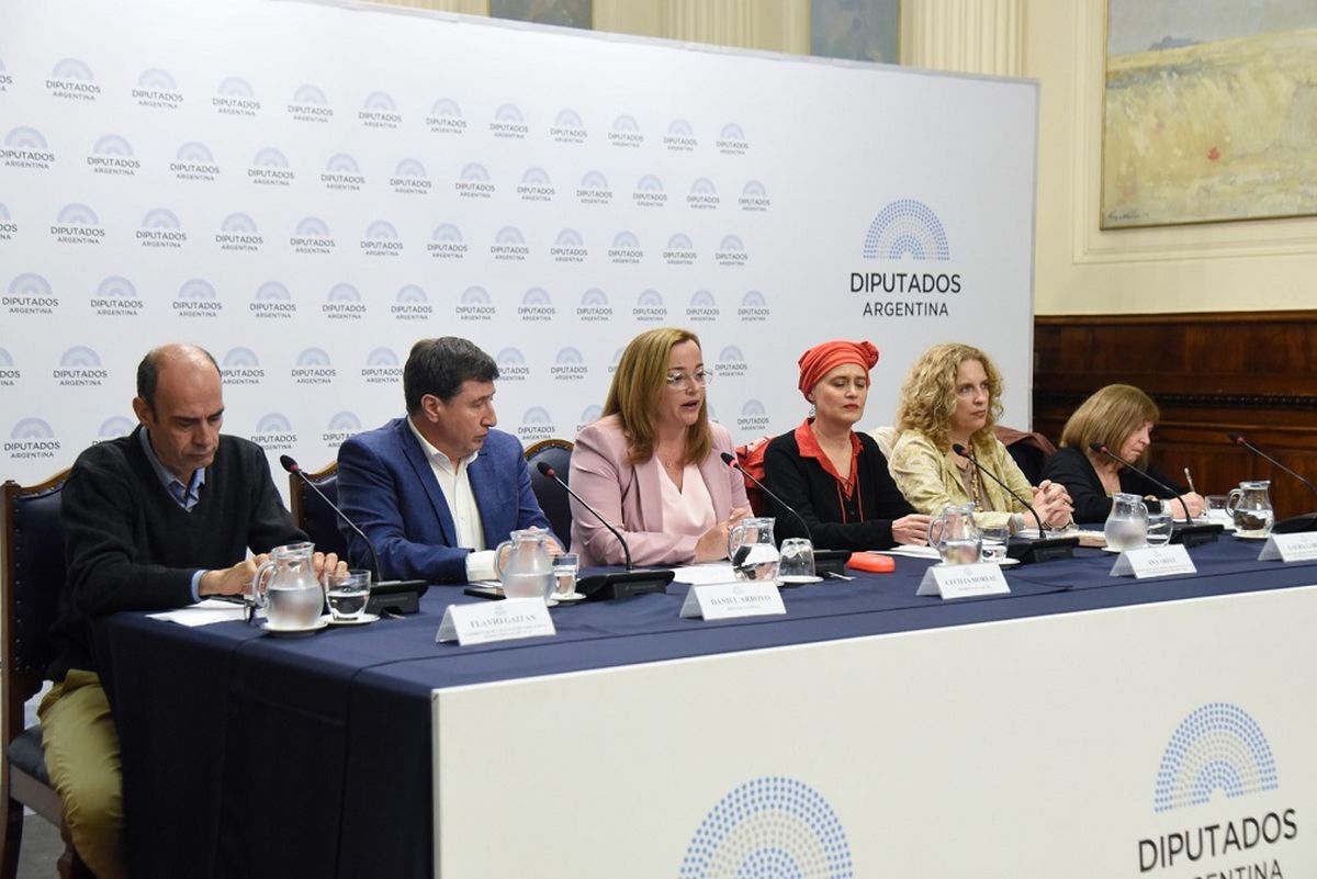 Cecilia Moreau, presidenta de la Cámara de Diputados.