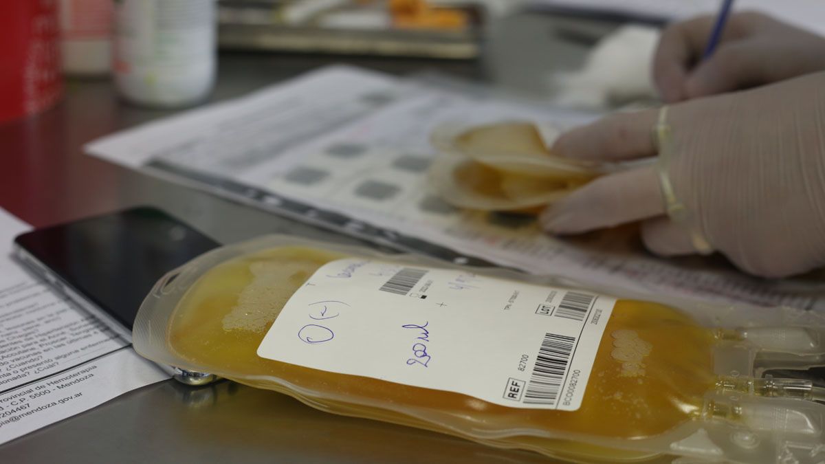 Un médico intento cobrar la transfusión de plasma.&nbsp;