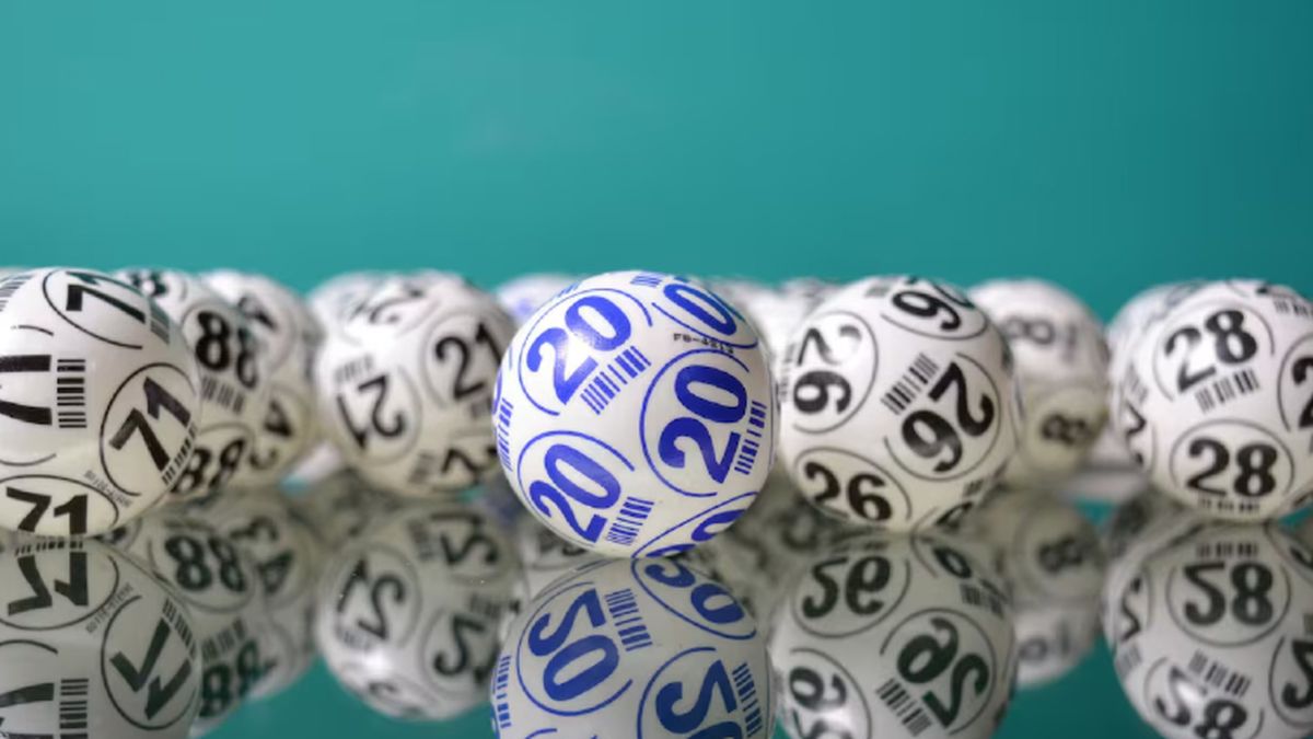 Brinco: los resultados del sorteo 1356 del domingo 31 de mayo. Brinco: los resultados del sorteo 1356 del domingo 31 de mayo.