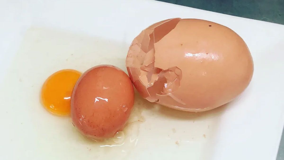 &nbsp;Es muy común encontrar un huevo dentro de otro huevo.