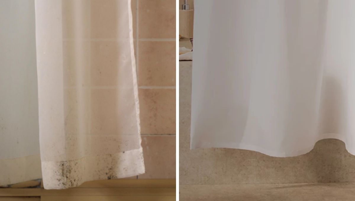 Chau a los hongos: el truco casero para quitar el moho de la cortina de baño sin esfuerzo