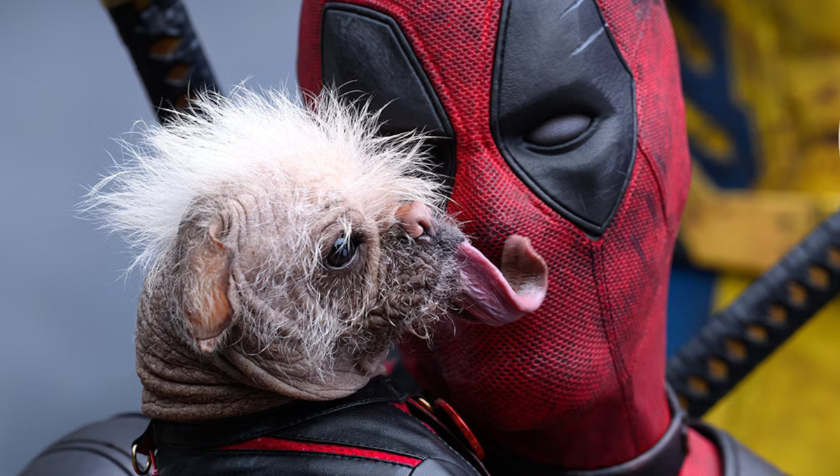 La perra más fea del mundo actúa en la película de Deadpool & Wolverine: esta es su historia.