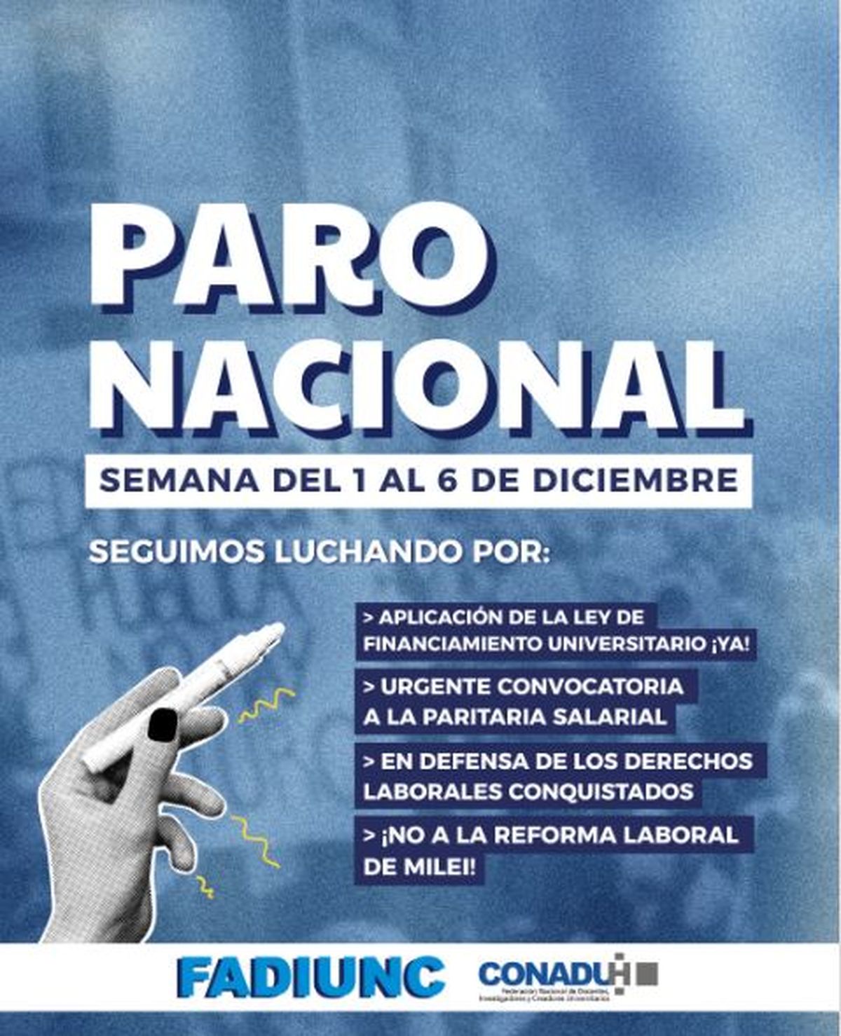 El flyer que difundieron anunciando el paro nacional en las universidades p&uacute;blicas para diciembre.