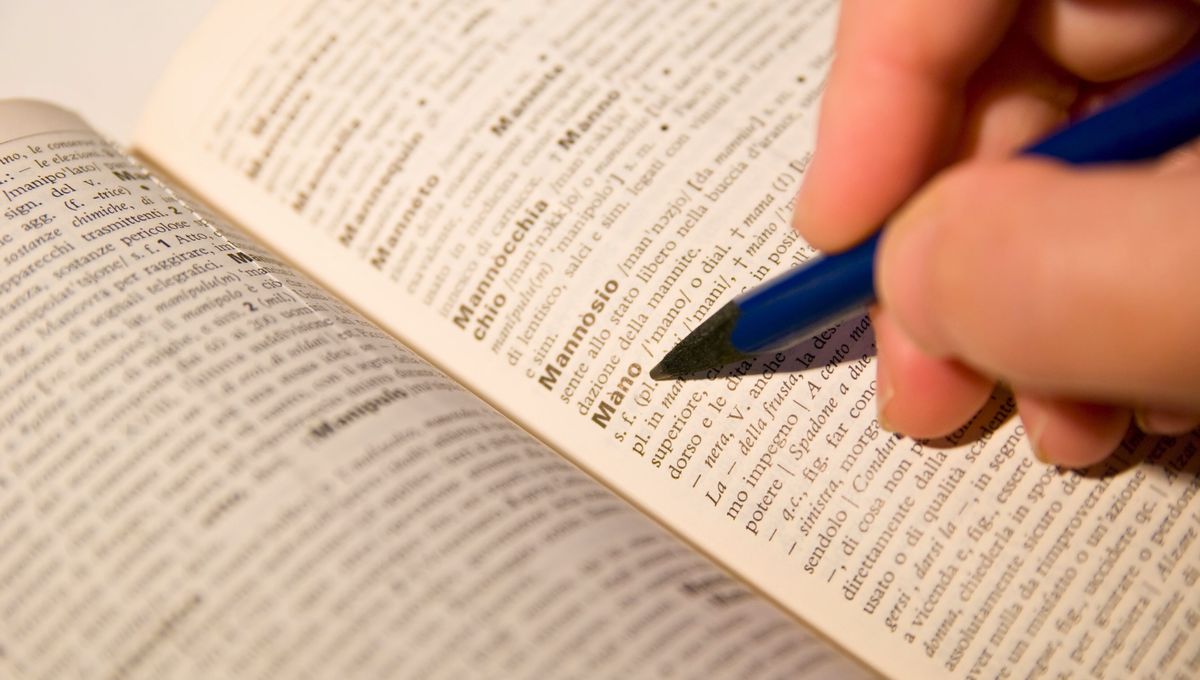 Este idioma está lleno de conceptos, frases, palabras y términos únicos. Este idioma está lleno de conceptos, frases, palabras y términos únicos. 