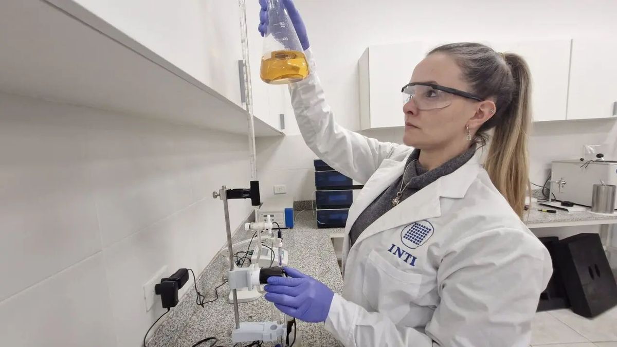 Varios de los ensayos de validación de productos de distintas empresas que el INTI realiza ahora pasarán a laboratorios privados. Varios de los ensayos de validación de productos de distintas empresas que el INTI realiza ahora pasarán a laboratorios privados. 