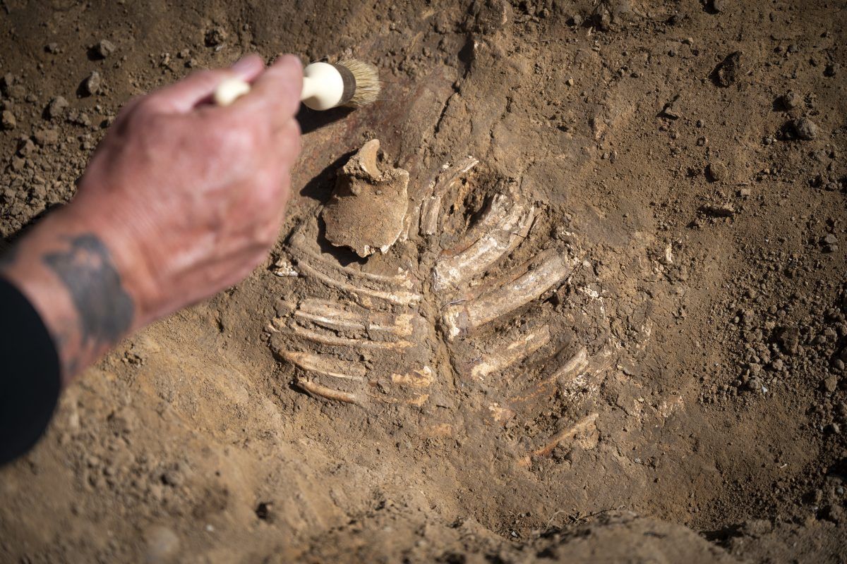 El macabro descubrimiento que remonta a toda Europa hacia una batalla histórica El macabro descubrimiento que remonta a toda Europa hacia una batalla histórica