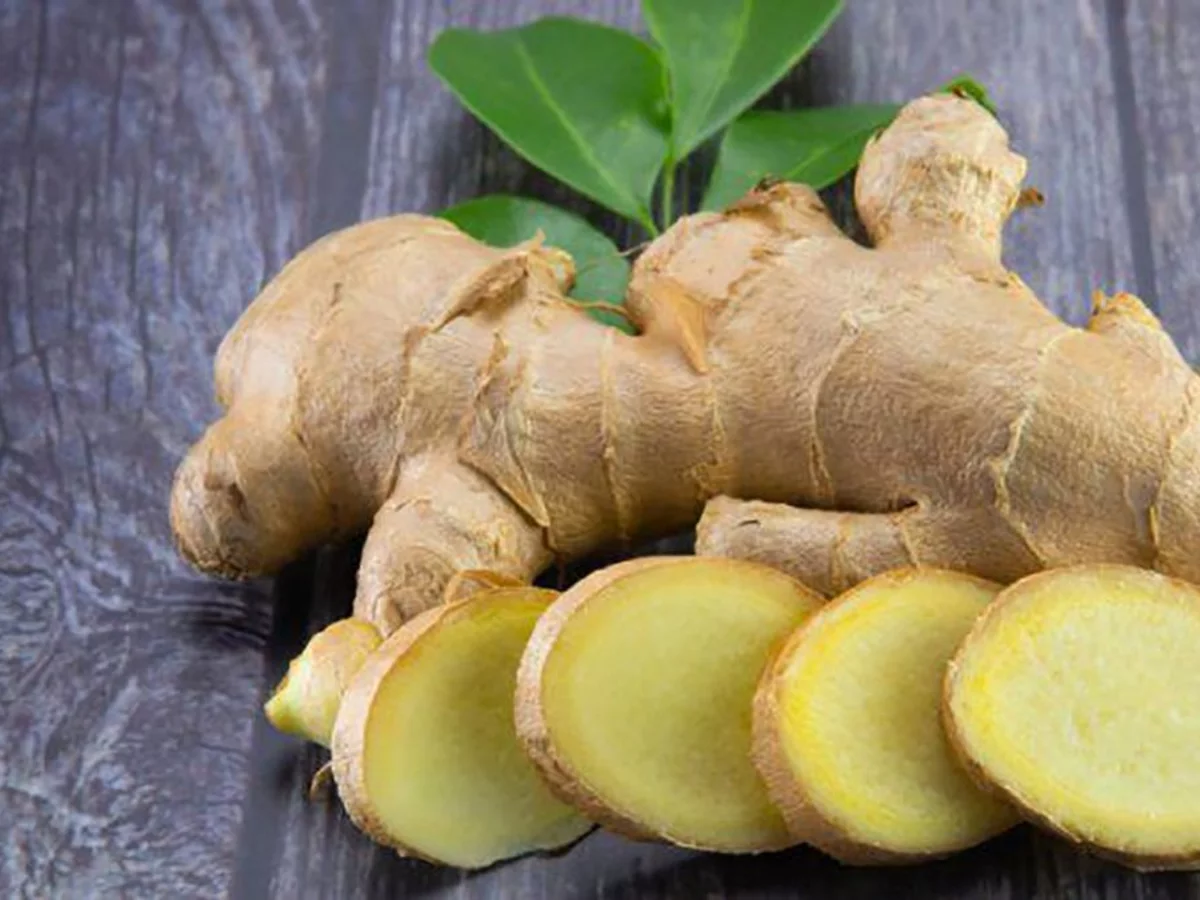 Beneficio de tomar mate con jengibre. Beneficio de tomar mate con jengibre.