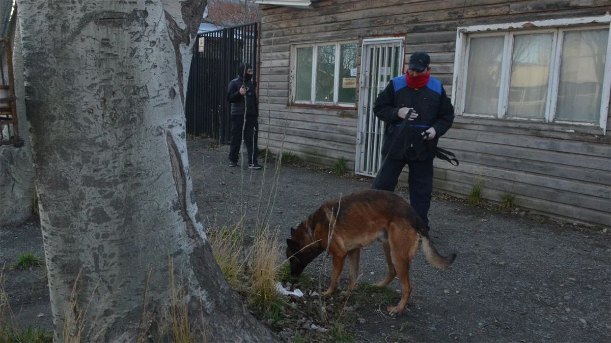Hallaron fajos de dólares y los vinculan a un allegado a Máximo Kirchner