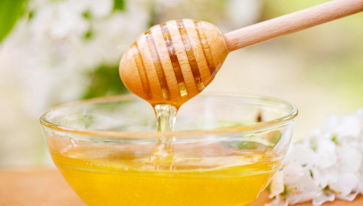 Tips para reconocer miel falsa, según los apicultores