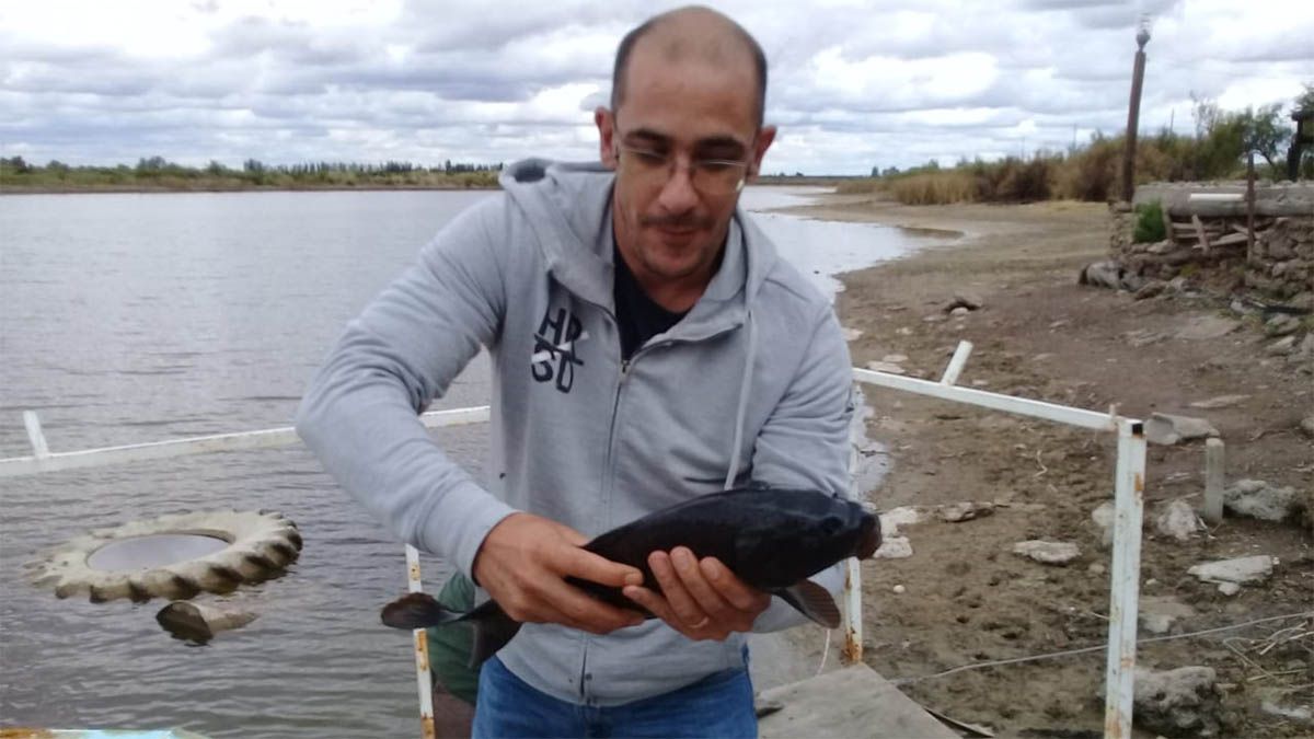Preocupación en Irrigación por la muerte de peces en una laguna