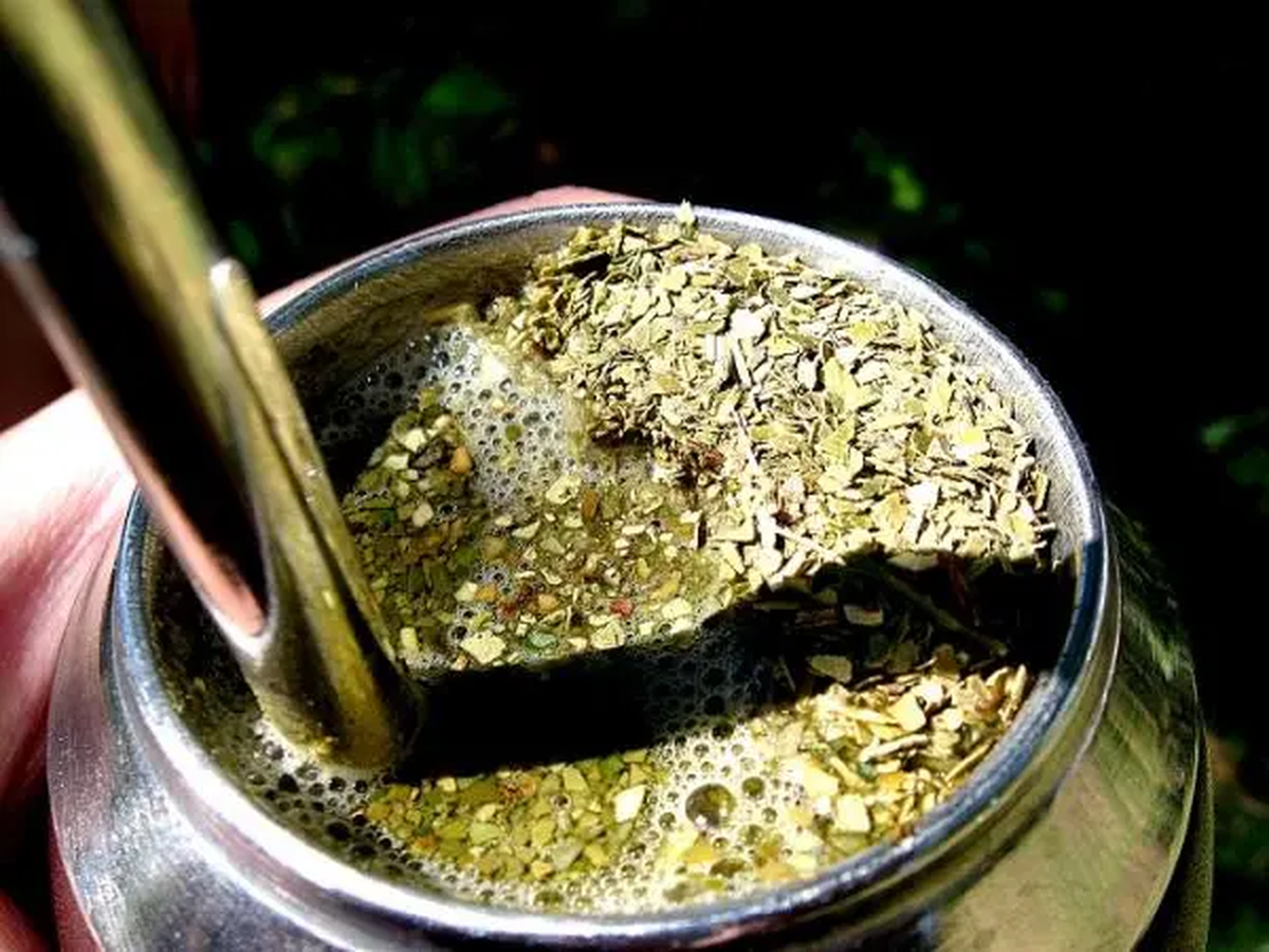 La yerba mate contiene saponinas que producen espuma La yerba mate contiene saponinas que producen espuma
