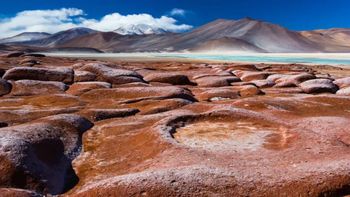 Sorprendente descubrimiento revela lo que ocultaba el suelo del desierto de Atacama Sorprendente descubrimiento revela lo que ocultaba el suelo del desierto de Atacama