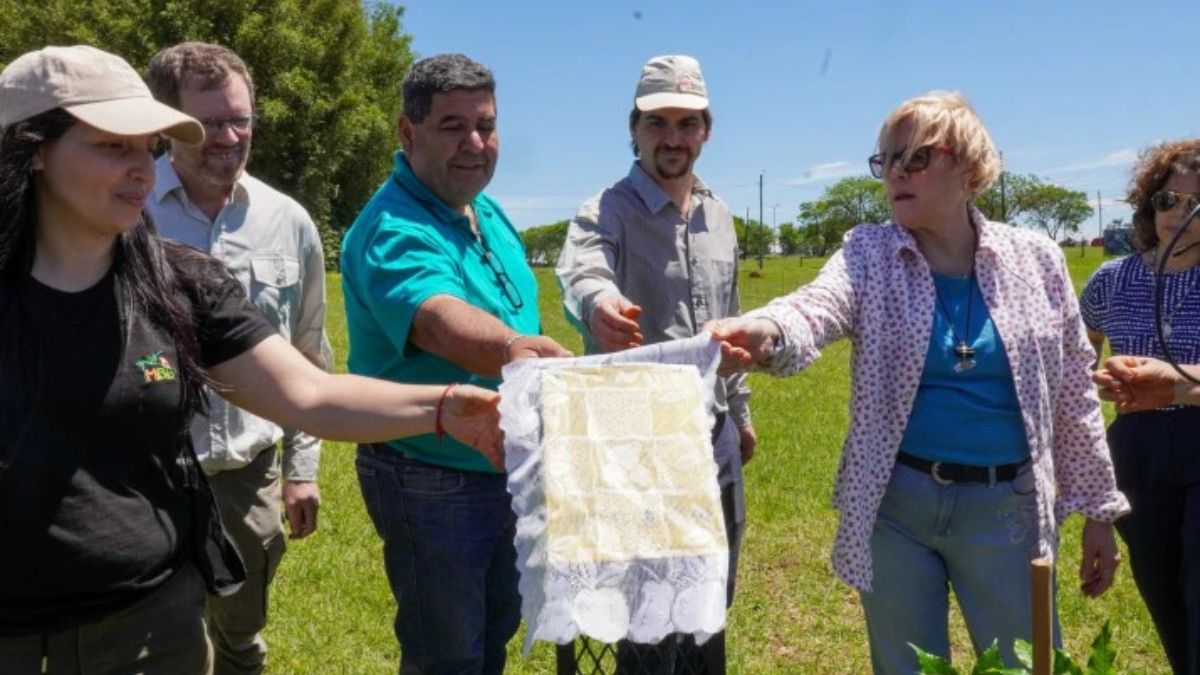 Restauración Plantación del árbol 100.000. Foto: Tatiana Berman Restauración Plantación del árbol 100.000. Foto: Tatiana Berman