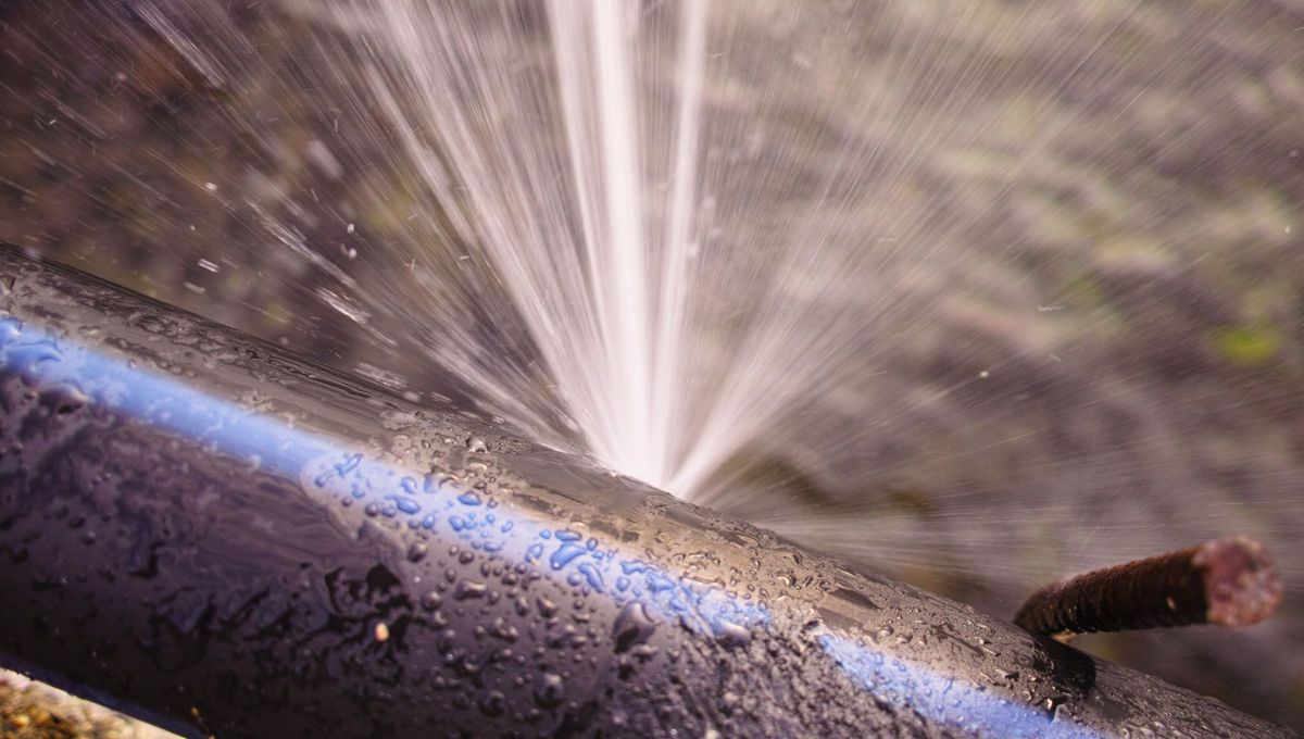 Hay que seguir una serie de pasos para solucionar este problema con el vecino, siempre con buena comunicación. Hay que seguir una serie de pasos para solucionar este problema con el vecino, siempre con buena comunicación.