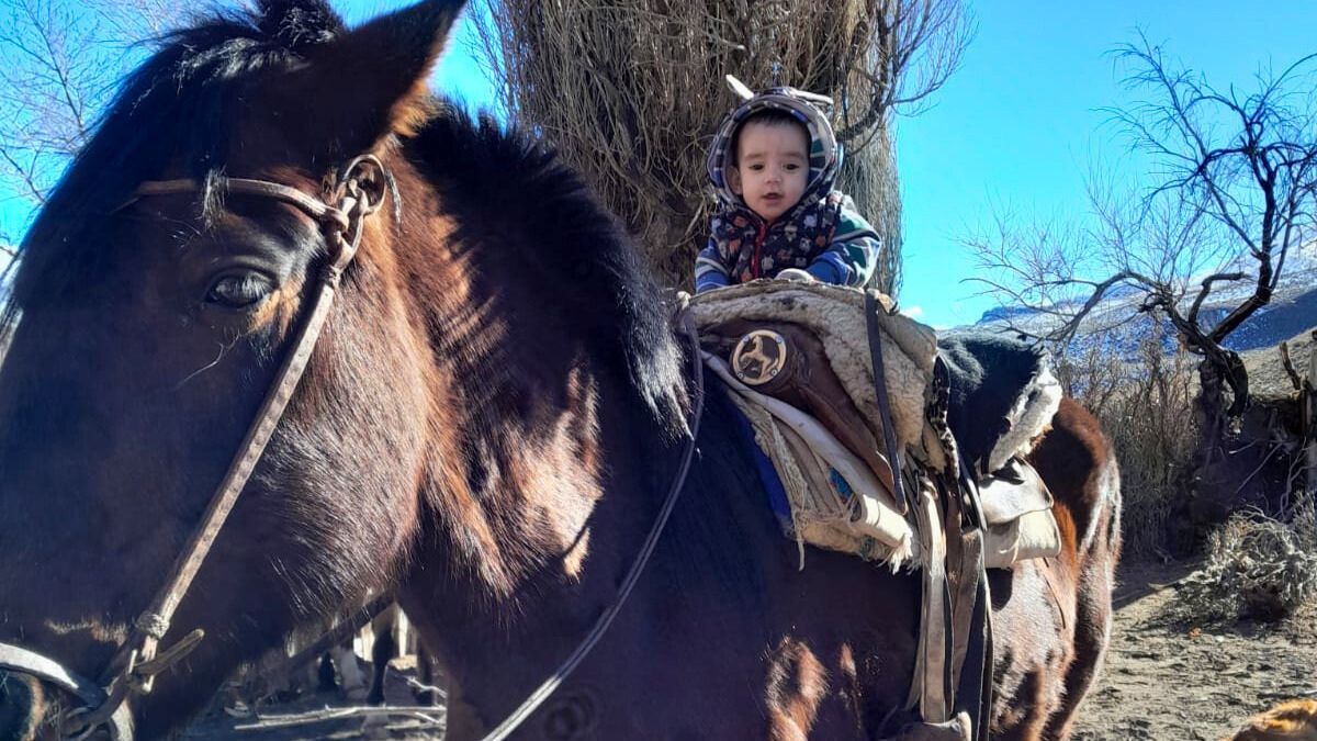 Mateo vive en Portezuelo del Viento y su infancia es libre y feliz. Mateo vive en Portezuelo del Viento y su infancia es libre y feliz.