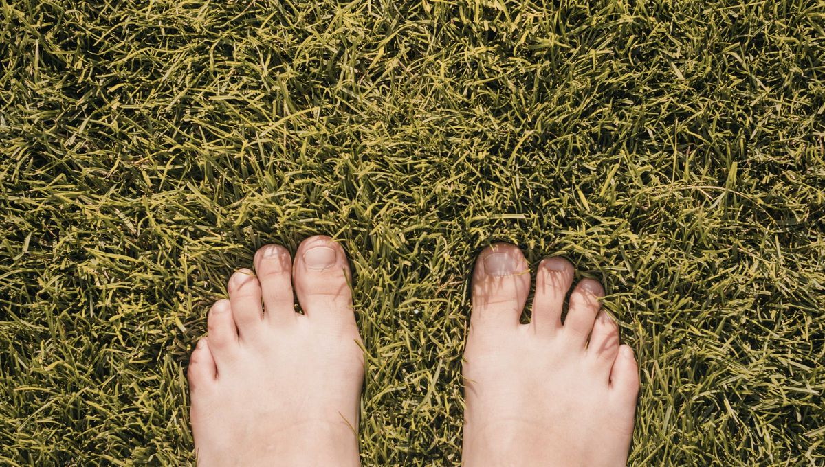 Un simple paseo en un entorno natural después del trabajo, te permitirá desconectar y reforzar los pensamientos positivos. Un simple paseo en un entorno natural después del trabajo, te permitirá desconectar y reforzar los pensamientos positivos.