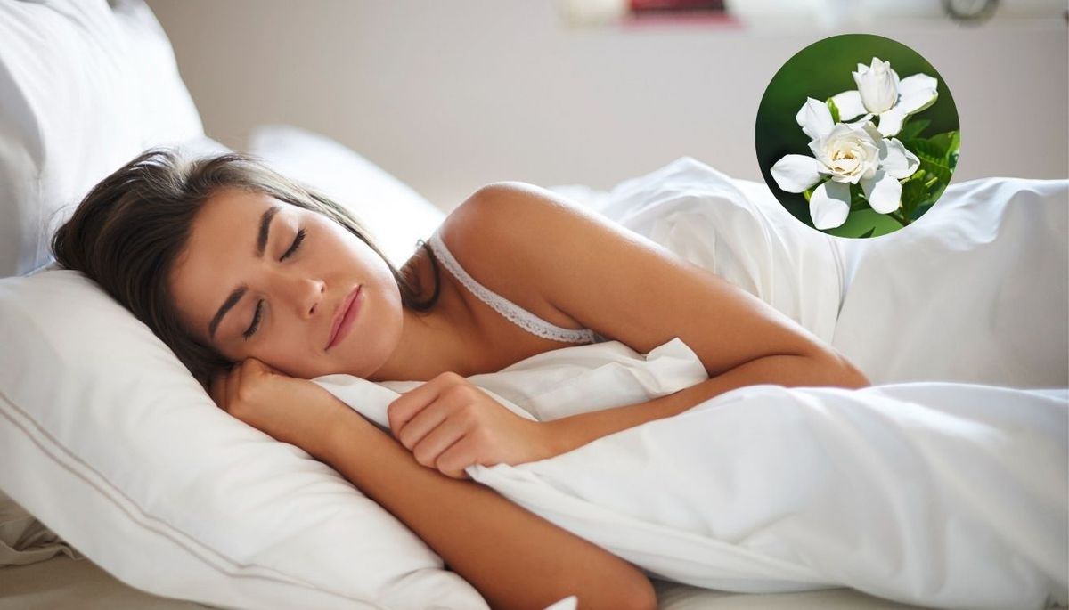 Con este perfume casero se inunda la habitación de un aroma fresco. Imagen: composición Diario Uno.