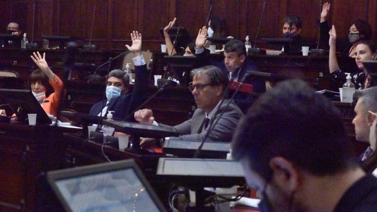 El Senado aprobó el Presupuesto.