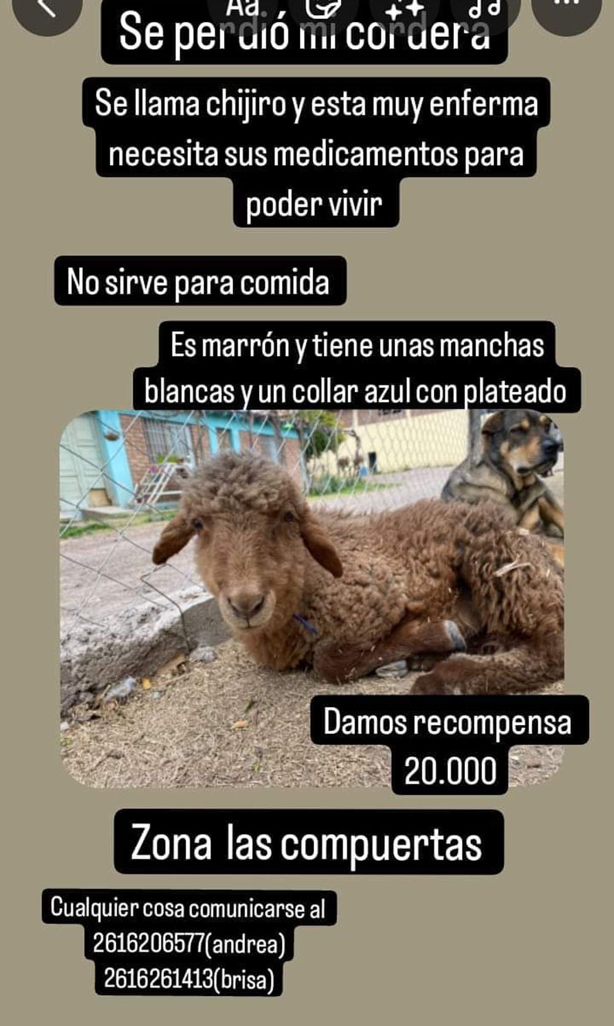 El posteo circuló por las redes sociales. En un primer momento la recompensa era de $20.000, pero luego la subieron a $30.000. El posteo circuló por las redes sociales. En un primer momento la recompensa era de $20.000, pero luego la subieron a $30.000.