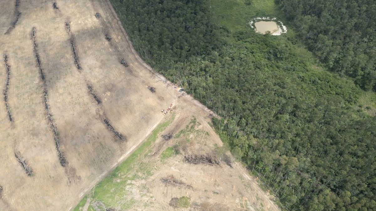 El agronegocio del Mercosur recibirá más atención en la COP28. (Foto: Global Witness)