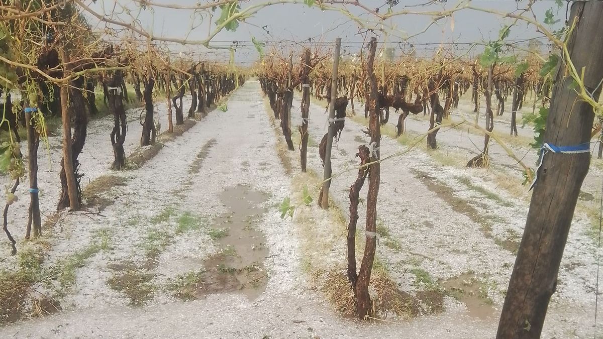 Daños y pérdidas casi totales en Santa Rosa.