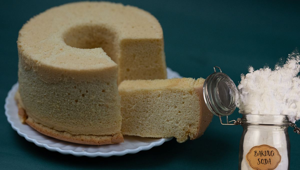 Fuente canva Fuente canva