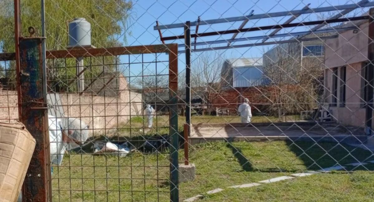 Una mujer fue encontrada sin vida semi enterrada en el patio de su casa y se investiga un caso de femicidio. Un joven quedó detenido Una mujer fue encontrada sin vida semi enterrada en el patio de su casa y se investiga un caso de femicidio. Un joven quedó detenido