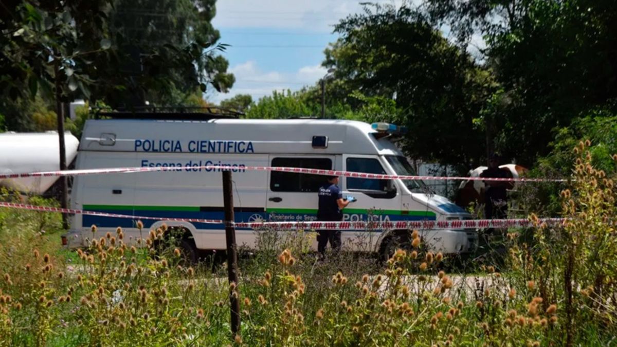 Un niño de dos años fue encontrado muerto con mordeduras de perros en un campo rural, luego de una intensa búsqueda Un niño de dos años fue encontrado muerto con mordeduras de perros en un campo rural, luego de una intensa búsqueda