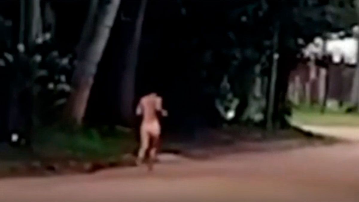 Una mujer consumió hongos y salió corriendo desnuda hacia el río