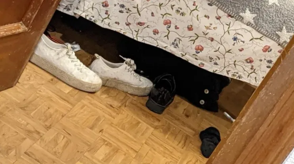 Final feliz. Pensó que su gata había muerto pero se llevó una gran sorpresa.