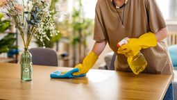 6 limpiadores caseros, naturales y económicos que puedes hacer en casa para cuidar tu bolsillo