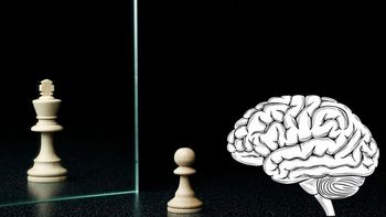Neurociencia del autoengaño: por qué el cerebro justifica hasta las decisiones inexplicables