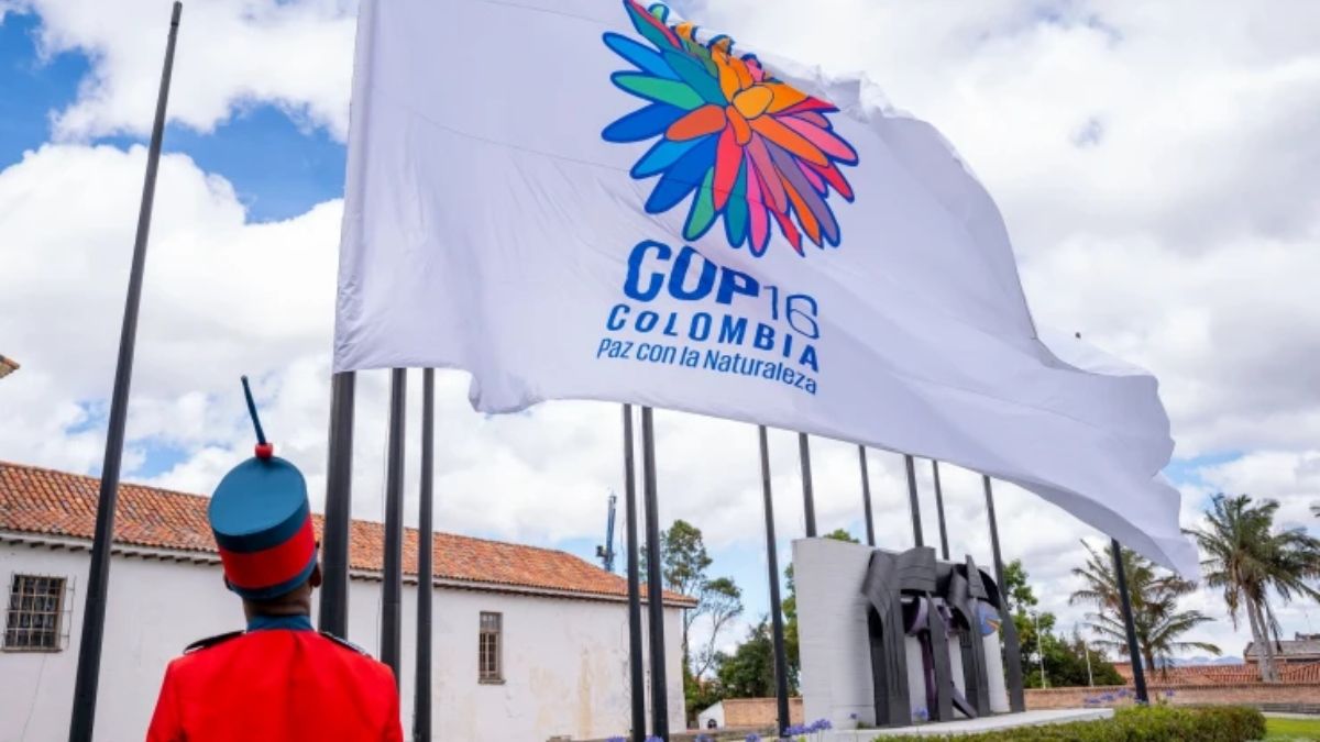Colombia es uno de los países con mayor biodiversidad del mundo y ha presentado la COP16 como una oportunidad para estar en "paz con la naturaleza". (Foto: César Carrión, Presidencia de Colombia, PDM) Colombia es uno de los países con mayor biodiversidad del mundo y ha presentado la COP16 como una oportunidad para estar en "paz con la naturaleza". (Foto: César Carrión, Presidencia de Colombia, PDM)