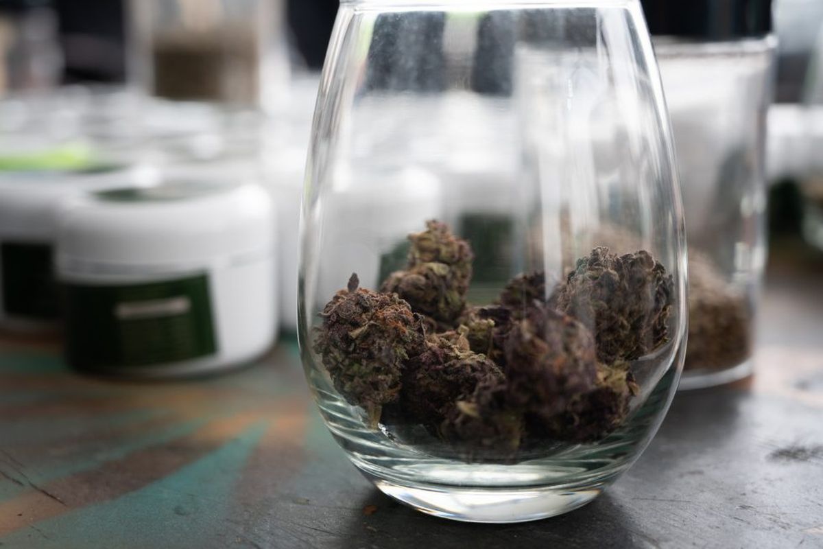 La primera empresa incorporada en el régimen productivo de cannabis medicinal empezó funcionar en Guaymallén. La primera empresa incorporada en el régimen productivo de cannabis medicinal empezó funcionar en Guaymallén.