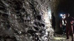 Este descubrimiento llama a la preservación de las arañas encontradas. Este descubrimiento llama a la preservación de las arañas encontradas.