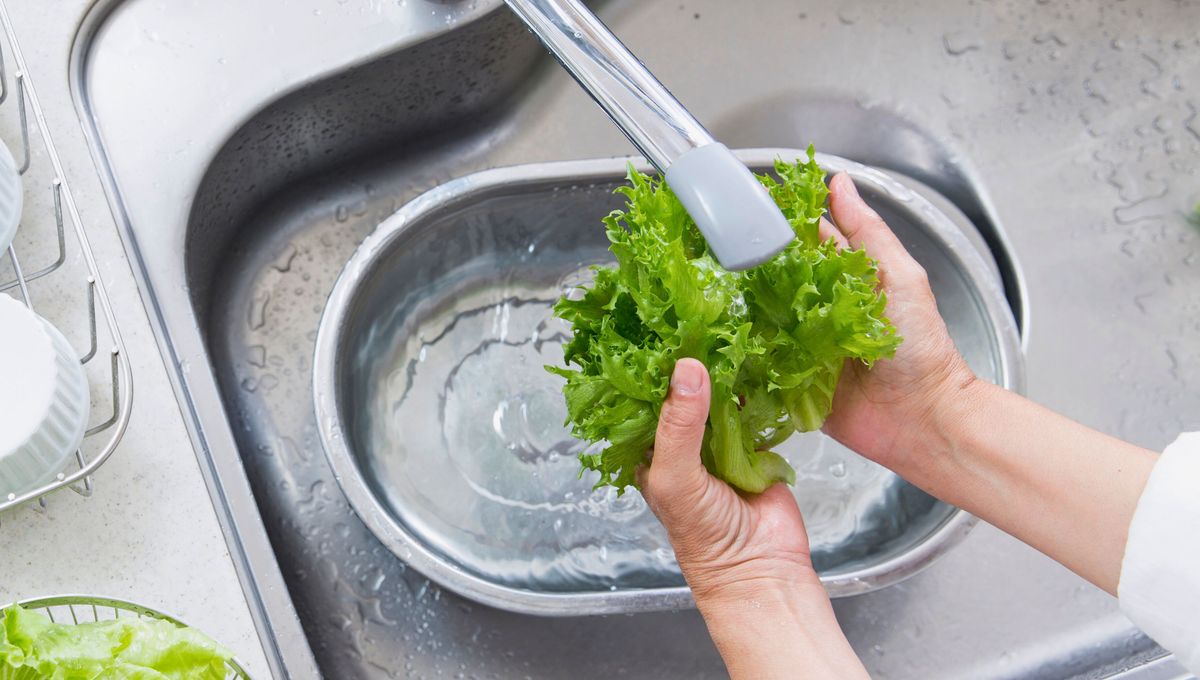 Siempre hay que lavar cuidadosamente las frutas y verduras antes de consumirlas. Siempre hay que lavar cuidadosamente las frutas y verduras antes de consumirlas. 