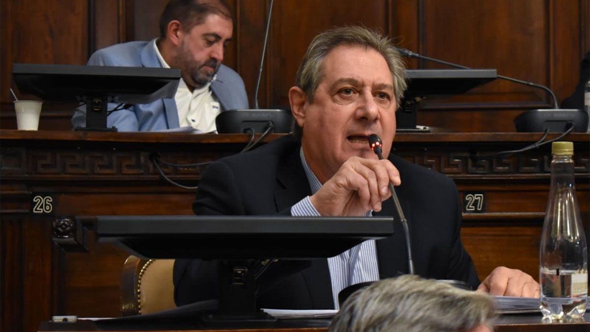 El diputado provincial, Emir Félix, se mostró a favor de desdoblar las próximas elecciones comunales en San Rafael. Él suena como candidato a suceder a su hermano Emir Félix en la intendencia.&nbsp;