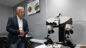 Cornejo aseguró que los homicidios cayeron casi un 50% en los últimos 10 años Cornejo aseguró que los homicidios cayeron casi un 50% en los últimos 10 años