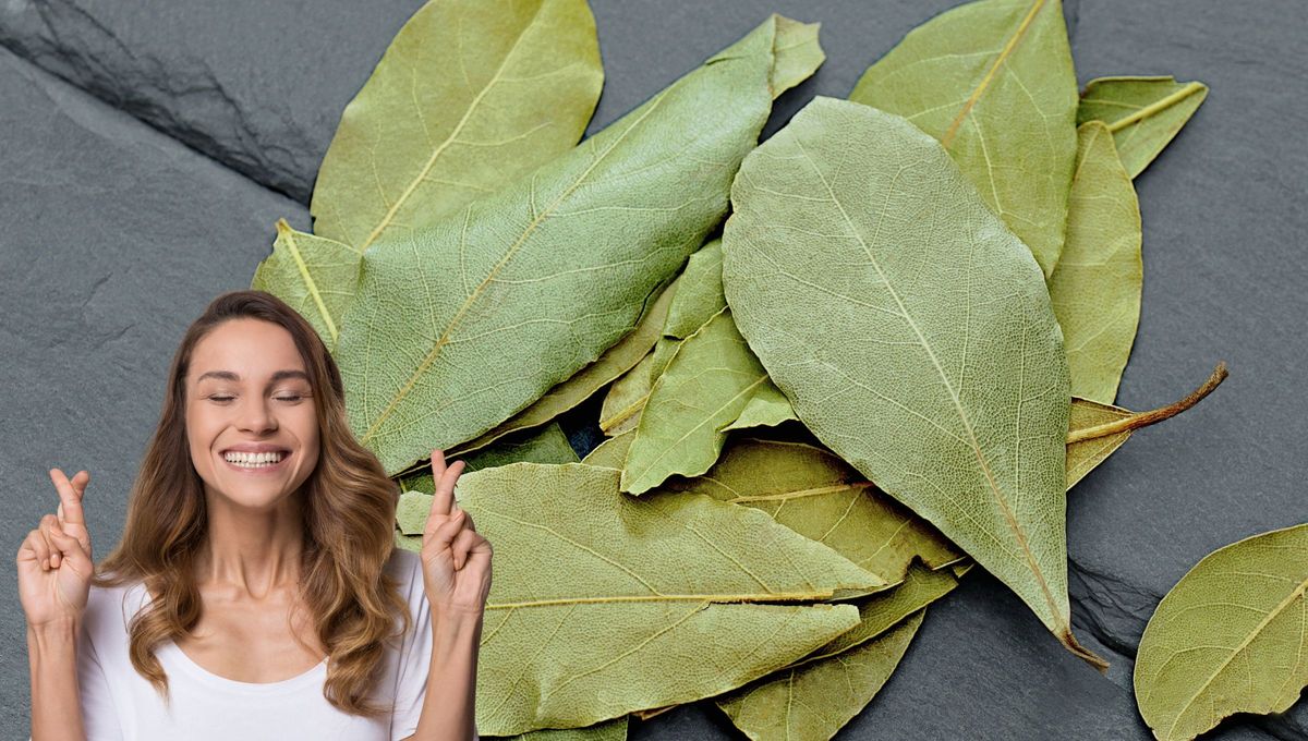 Usa este objeto a tu favor para atraer suerte a tu último día del mes. Usa este objeto a tu favor para atraer suerte a tu último día del mes.
